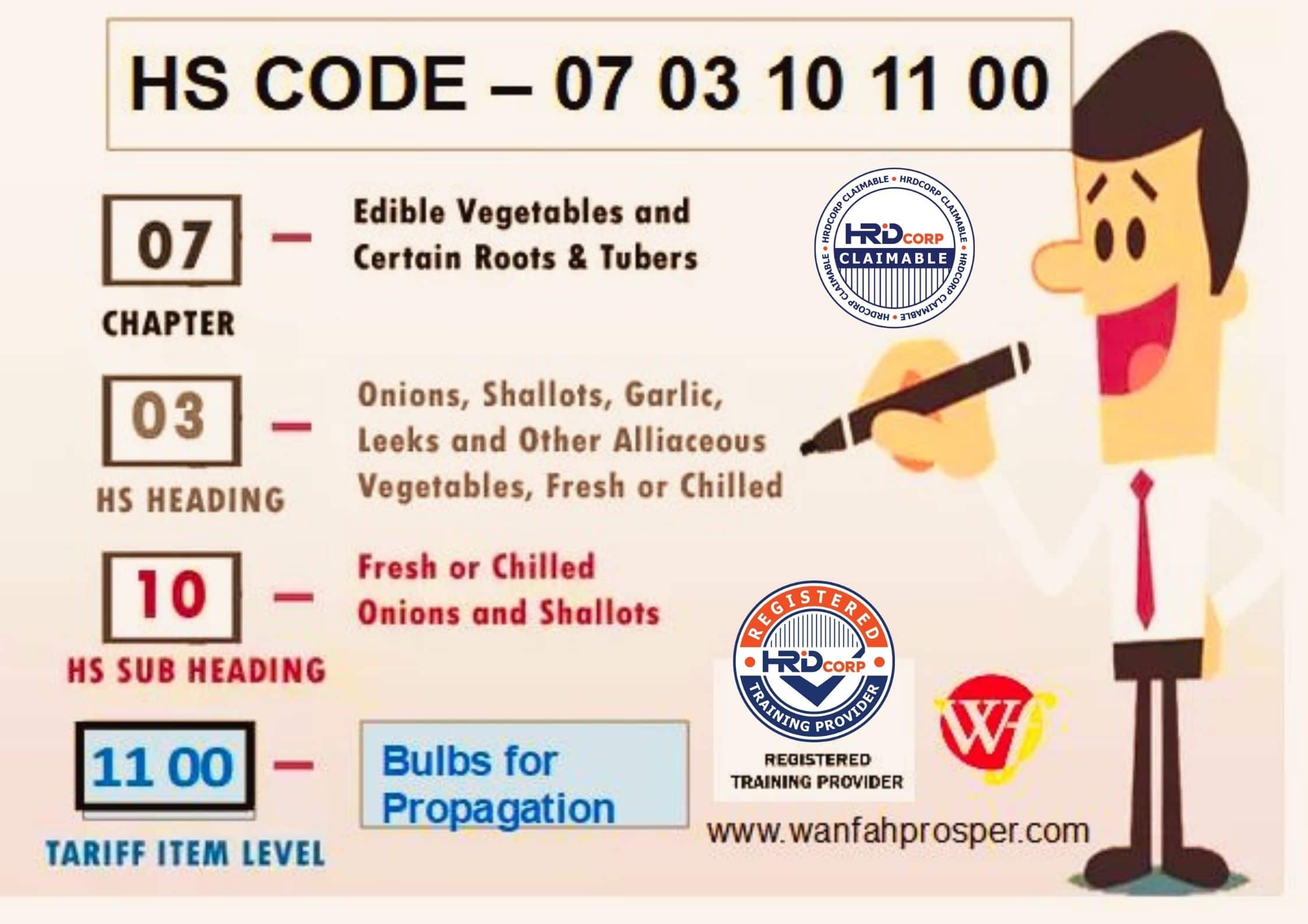 CUSTOMS CLASSIFICATION OF GOODS UNDER THE HARMONISED SYSTEM CODING ...